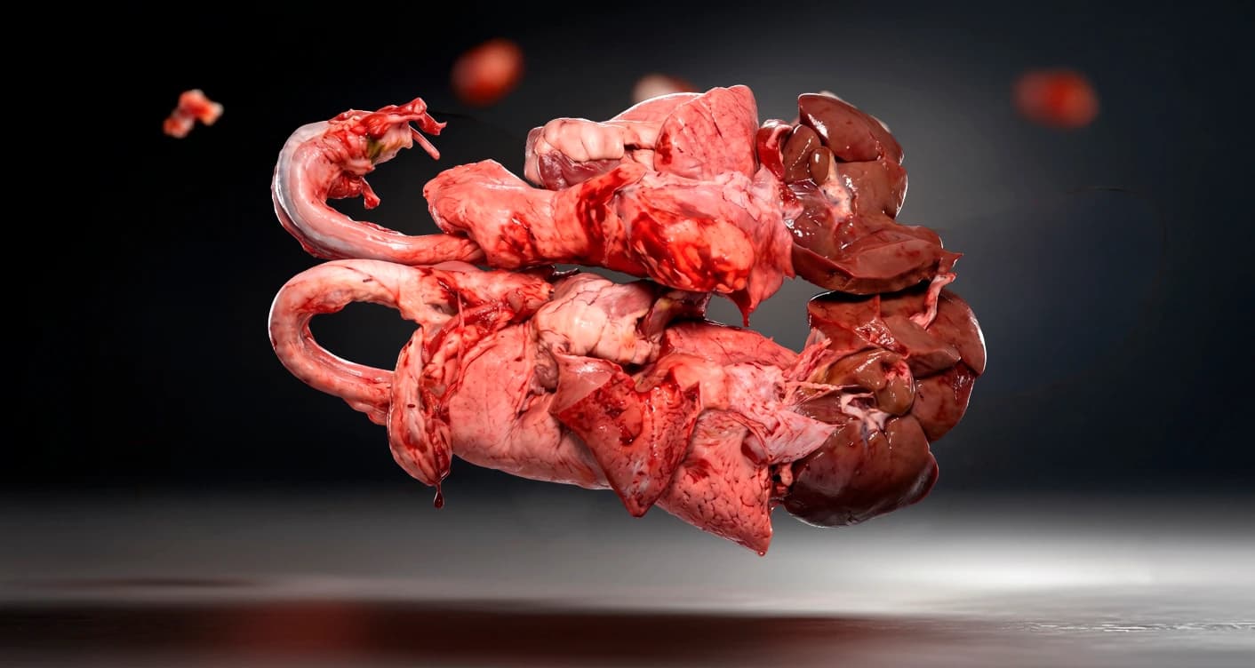 Offal